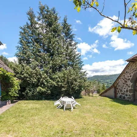 Beautiful In The Parc Des Volcans D Auvergne Vic-sur-Cere