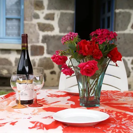 Family Nest Вик-сюр-Сер