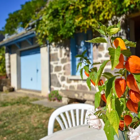 Dom wakacyjny Family Nest